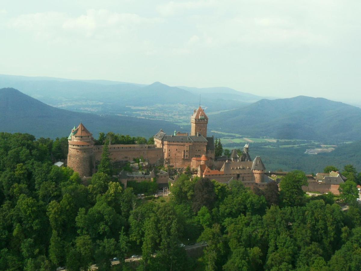 Gite La Maison Bleue Bergheim Dış mekan fotoğraf