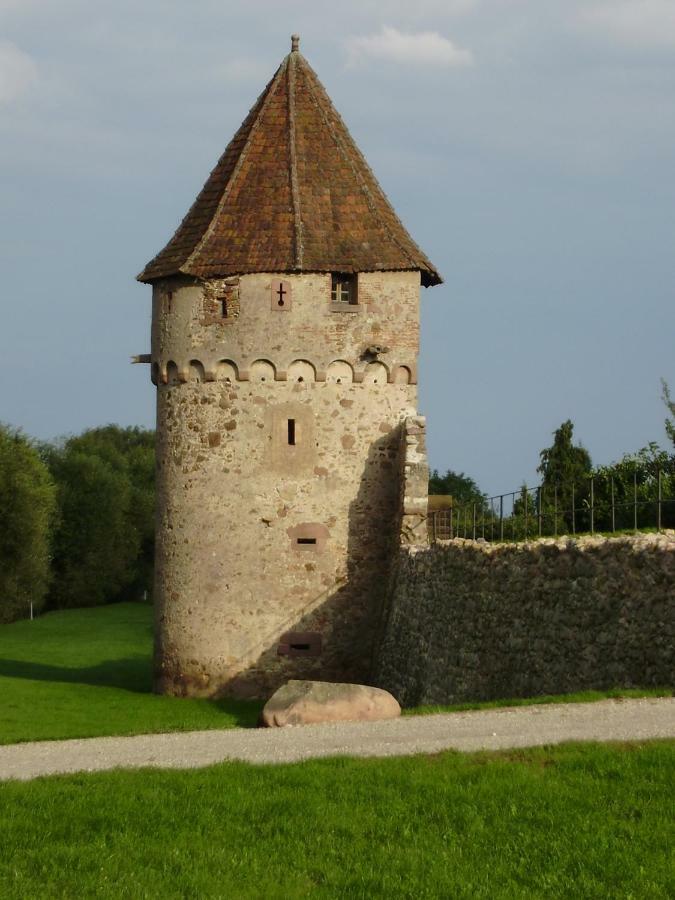 Gite La Maison Bleue Bergheim Dış mekan fotoğraf