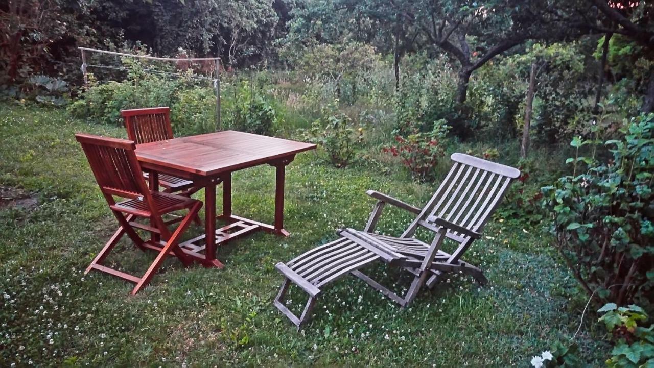 Gite La Maison Bleue Bergheim Dış mekan fotoğraf