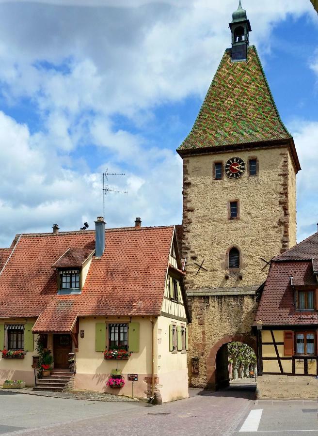 Gite La Maison Bleue Bergheim Dış mekan fotoğraf