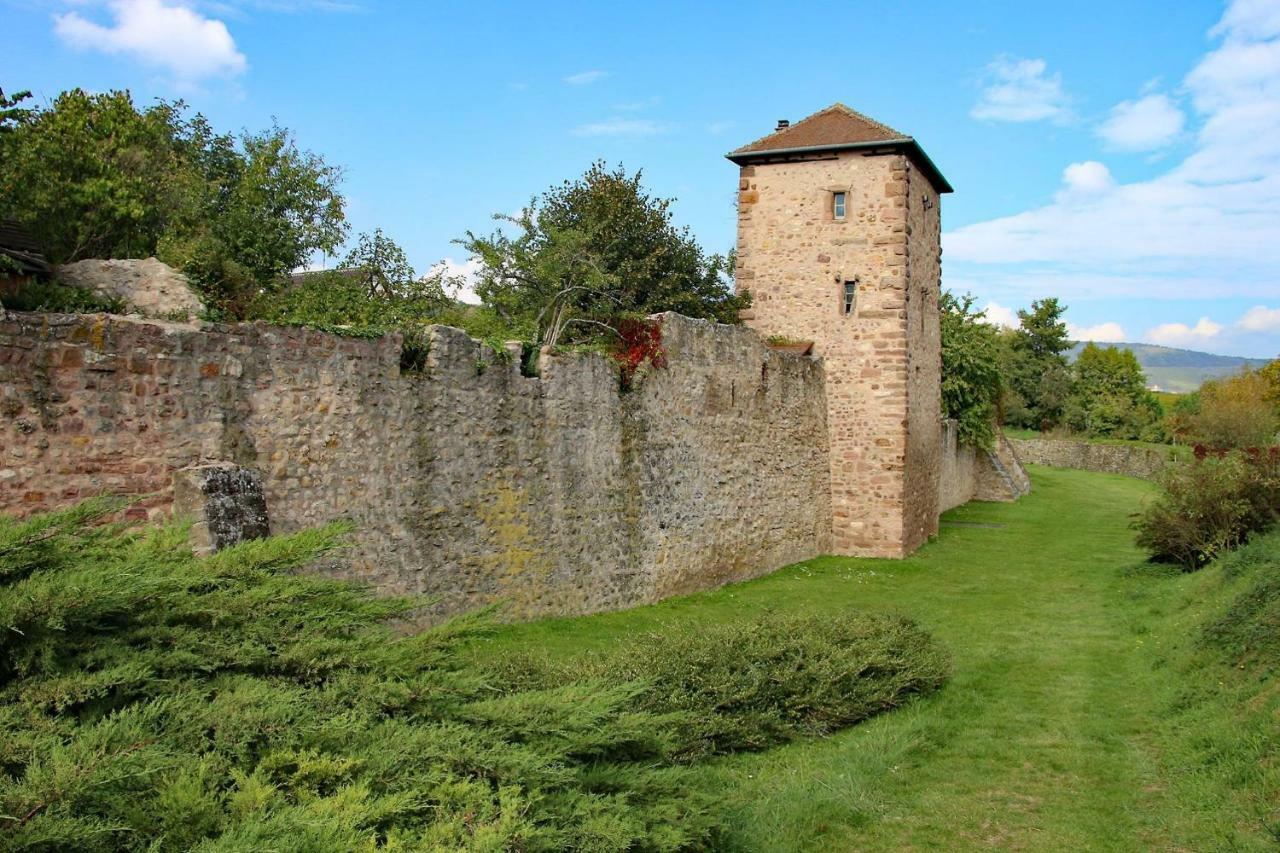 Gite La Maison Bleue Bergheim Dış mekan fotoğraf